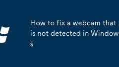 How to fix a webcam that is not detected in Windows