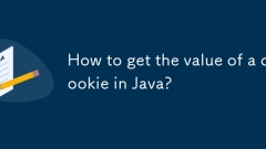Wie bekomme ich den Wert eines Keks in Java?