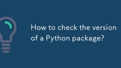 如何检查Python软件包的版本?