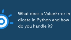 ValueRror在Python中指示什么?您如何处理?