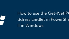 So verwenden Sie das Get-Netipaddress-CMDLET in PowerShell in Windows