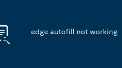 Edge Autofill? ???? ????