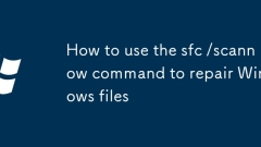 sfc /scannow ??? ???? Windows ??? ???? ??