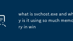 svchost.exe ? ???? ? ??? ?? ???? ???? ?????