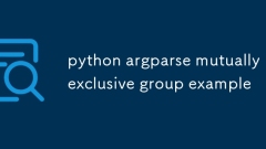 Python Argparse exklusive Gruppenbeispiel