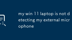My Win 11 ???? ? ?? ???? ???? ????.