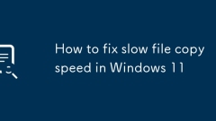 Windows 11?? ?? ?? ?? ??? ???? ??