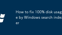 Windows ?? ???? 100% ??? ??? ???? ??