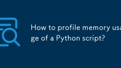 Wie profiliere ich die Speicherverbrauch eines Python -Skripts?