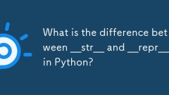 python中的__str__和__repr__有什么区别?