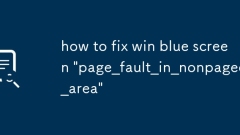 WIN ?? ???? ??? ?? 'page_fault_in_nonpaged_area'