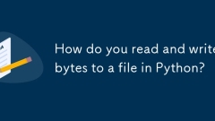 您如何在Python中读写字节?