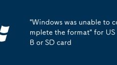 USB ?? SD ??? 'Windows? ??? ?? ? ? ?????'