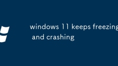 Windows 11 friert weiter und stürzt ab