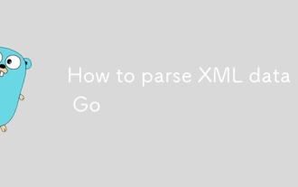 So analysieren Sie XML -Daten in Go
