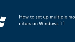 Windows 11?? ?? ???? ???? ??