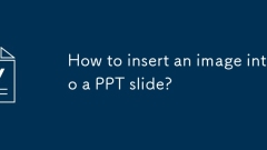 PPT 슬라이드에 이미지를 삽입하는 방법은 무엇입니까?