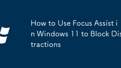 ?? ?? ???? ?? Windows 11?? Focus Assist? ???? ??