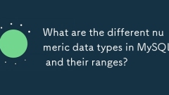 MySQL及其范围中有哪些不同的数字数据类型?