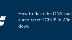 如何沖洗Windows中的DNS緩存和重置TCP/IP