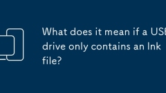 Qu'est-ce que cela signifie si un lecteur USB ne contient qu'un fichier LNK?