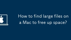Bagaimana untuk mencari fail besar pada Mac untuk membebaskan ruang?
