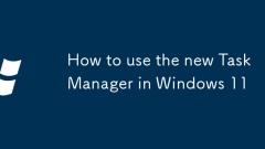 如何在Windows 11中使用新任務管理器
