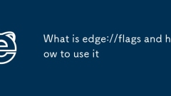 Qu'est-ce que Edge: // Flags et comment l'utiliser