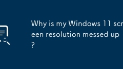 Pourquoi ma résolution d'écran Windows 11 est-elle gachée?