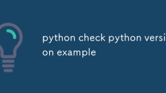 Exemple de version Python Vérifier Python