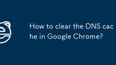 Comment effacer le cache DNS dans Google Chrome?