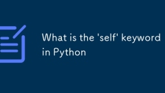 Quel est le mot-clé «auto» à Python