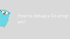如何调试GO计划?