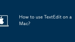 Bagaimana cara menggunakan TextEdit pada Mac?