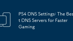 PS4 DNS -Einstellungen: Die besten DNS -Server für schnelleres Spielen