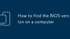 So finden Sie die BIOS -Version auf einem Computer
