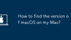 Bagaimana mencari versi macOS di Mac saya?