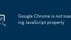 Google Chrome? JavaScript? ??????? ????