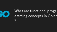 Golang的功能编程概念是什么?