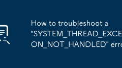 'System_Thread_Exception_NOT_HANDLED'?? ??? ???? ???