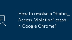 Chrome?? 'status_access_violation'??? ???? ??? ??????