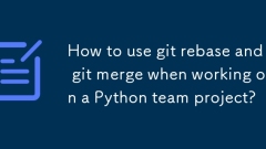Wie benutzt ich Git Rebase und Git zusammen, wenn Sie an einem Python -Teamprojekt arbeiten?