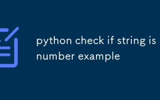 python check if string is number example