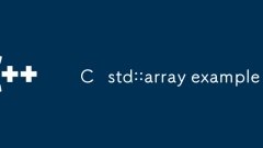 C STD ::配列の例