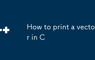 How to print a vector in C