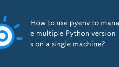 Wie verwendete ich PyEnV, um mehrere Python -Versionen auf einer einzelnen Maschine zu verwalten?