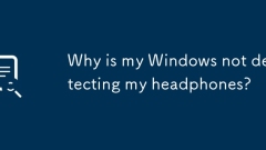 ??? ???? ???? ?? ??? ??????
