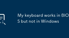 ? ???? BIOS?? ????? Windows??? ???? ????