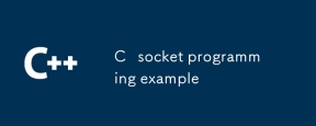 C socket programming example