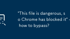 'Ce fichier est dangereux, donc Chrome l'a bloqué' - comment contourner?